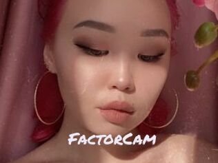 FactorCam