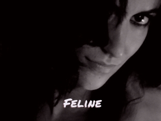 Feline