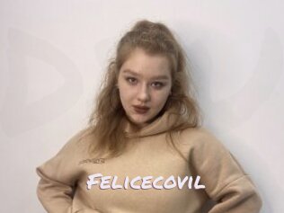 Felicecovil