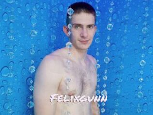 Felixgunn
