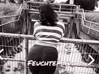 Feuchtemaus