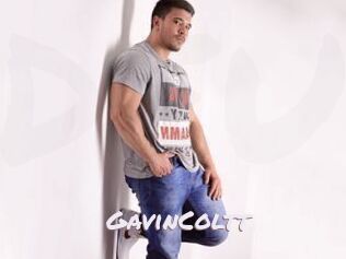 GavinColtt