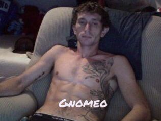 Gnomeo