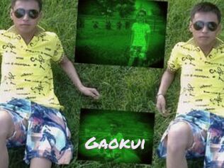 Gaokui