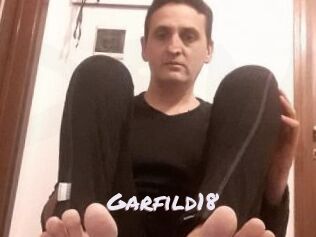 Garfild18