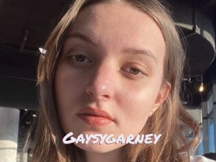 Gaysygarney