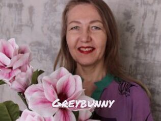 Greybunny