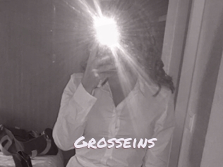 Grosseins
