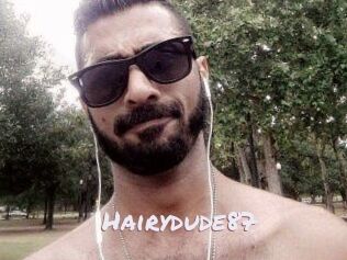 Hairydude87