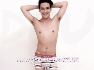 HandsomeBARBIE