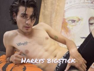 Harrys_bigstick