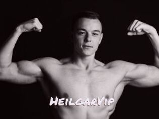 HeilgarVip