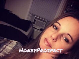 HoneyProspect