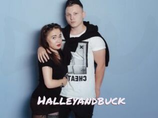 Halleyandbuck