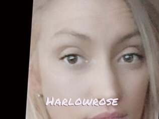 Harlowrose