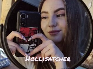 Hollisatcher
