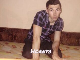 Hornyb