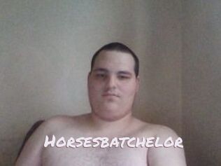 Horsesbatchelor