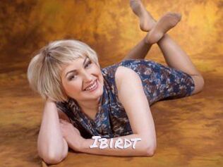 Ibirdt