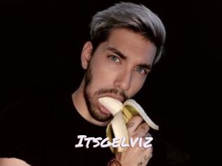 Itsgelviz