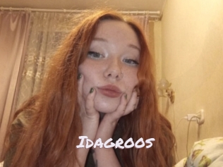 Idagroos