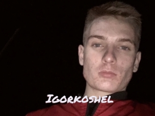 Igorkoshel
