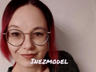 Inezmodel