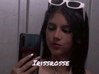 Irissrosse