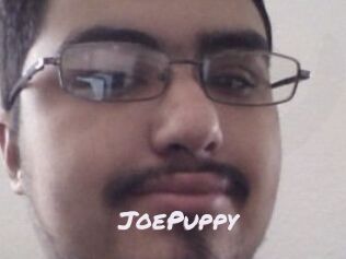 JoePuppy