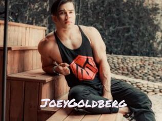 JoeyGoldberg