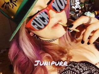 Junipurr