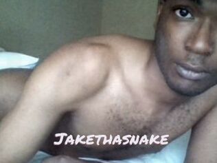 Jake_tha_snake