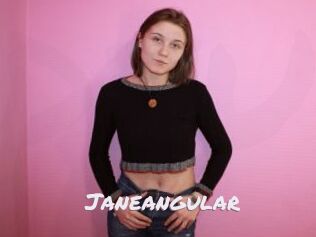 Janeangular