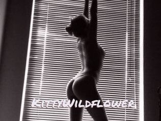 KittyWildflower