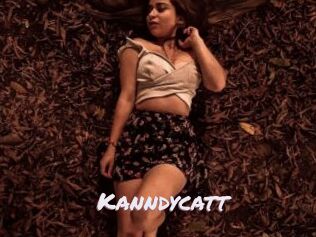 Kanndycatt