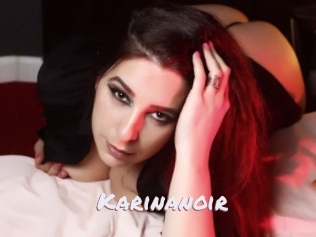 Karinanoir