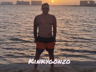 Kinkygonzo