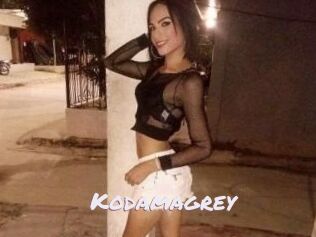 Kodamagrey