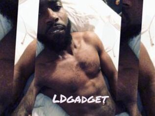 LDgadget