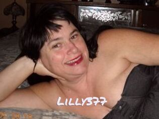 Lilly377