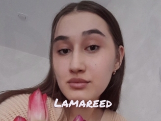 Lamareed