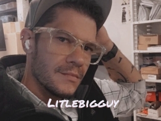 Litlebigguy