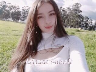 Litlee_miaa11