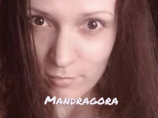 Mandragora