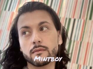 Mintboy