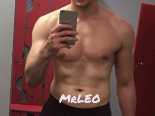 MrLEO