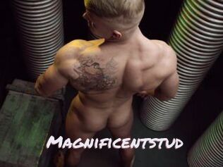 magnificentstud Deutsche Sexcams