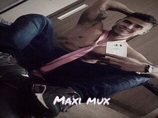 Maxi_mux