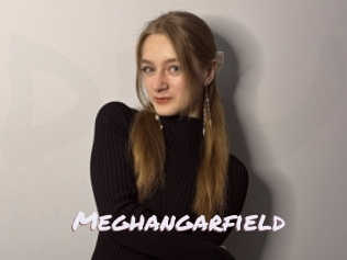 Meghangarfield