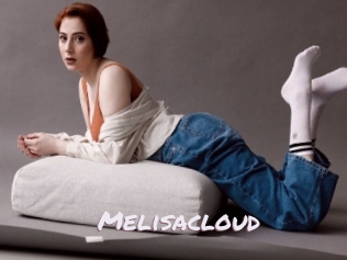 Melisacloud